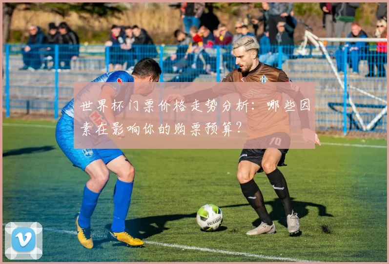 世界杯门票价格走势分析:哪些因素在影响你的购票预算?
