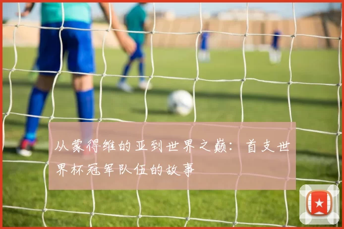 从蒙得维的亚到世界之巅:首支世界杯冠军队伍的故事