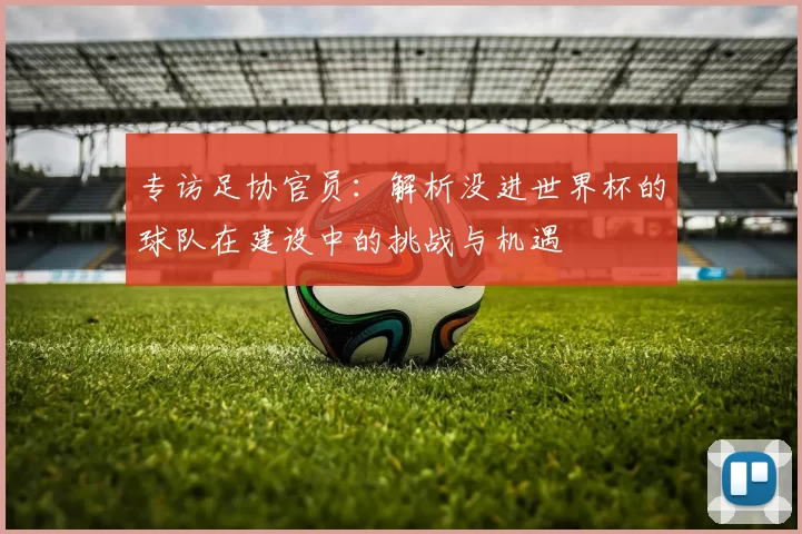 专访足协官员:解析没进世界杯的球队在建设中的挑战与机遇