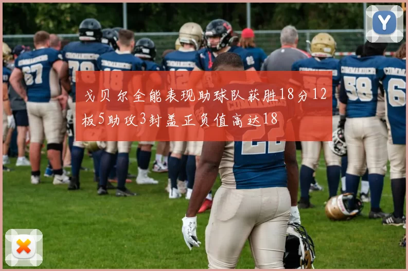 戈贝尔全能表现助球队获胜18分12板5助攻3封盖正负值高达18