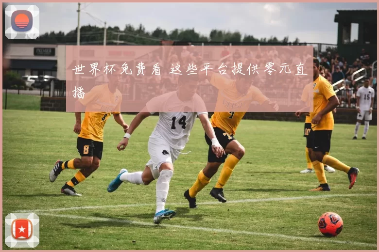 世界杯免费看 这些平台提供零元直播