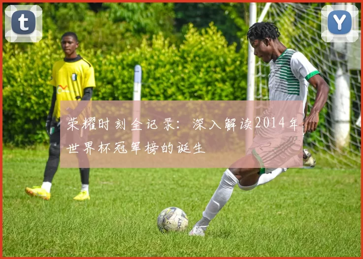 荣耀时刻全记录:深入解读2014年世界杯冠军榜的诞生