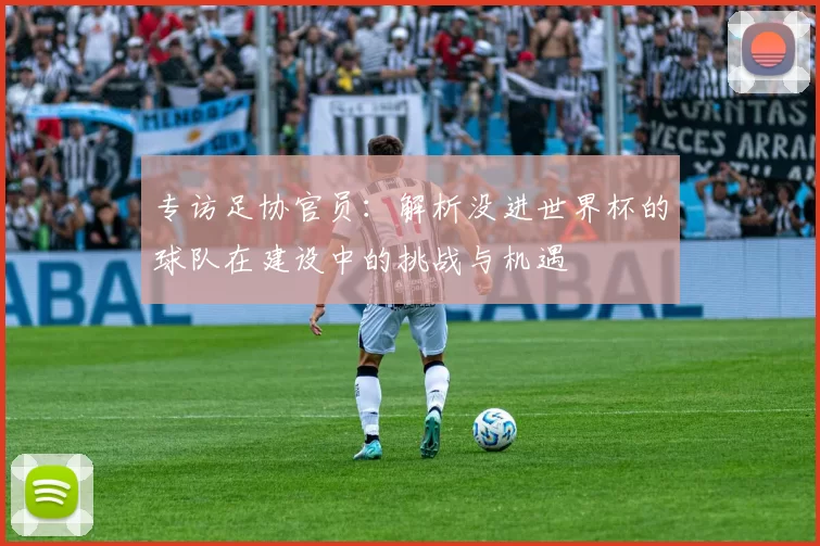 专访足协官员:解析没进世界杯的球队在建设中的挑战与机遇